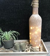 SCHAAL BOTTLE & PLANTS.