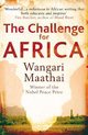 Challenge For Africa New Vision
