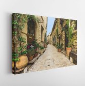 Canvas schilderij - Narrow street in the old village Tourrettes-sur-Loup in France -     233782048 - 50*40 Horizontal