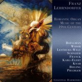 Franz Lehrndorfer - Romantic Organ Music Of The 19th Ce (CD)