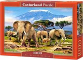 legpuzzel Kilimanjaro Morning 1000 stukjes