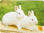 puzzel konijnen junior 12 x 9 cm karton 15-delig