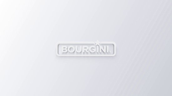 Bourgini