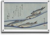 Walljar - Utagawa Kuniyoshi - Trout - Muurdecoratie - Plexiglas schilderij