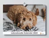Labradoodle kalender 2023 | 35x24 cm | jaarkalender 2023 | Wandkalender 2023