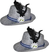 2x stuks grijs Tiroler Oktoberfest verkleed hoedje voor volwassenen - Oktoberfest/bierfeest - Alpenhoedje