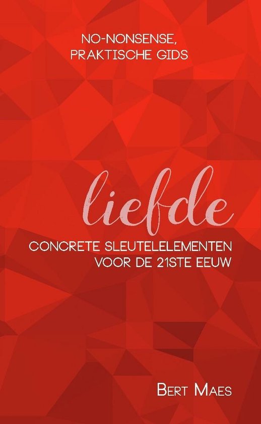 Boekcover met rode geometrische achtergrond. Titel: LIEFDE. Ondertitel: NO-NONSENSE, PRAKTISCHE GIDS. Concrete sleutelelementen voor de 21ste eeuw. Auteur: BERT MAES.