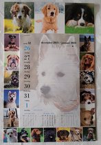 LIBOZA - Week-wandkalender 2023 - HONDEN - rondom 20 heerlijke hondenfoto's - met ECOpen - Veel ruimte per dag - Ophangbaar - STEVIGE kartonnen achterkant - Cadeau - Verjaardag - S