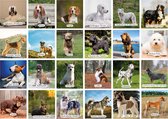 Honden memory - Hondenrassen - Honden Memory Spel - Educatief memoryspel - 70 stuks