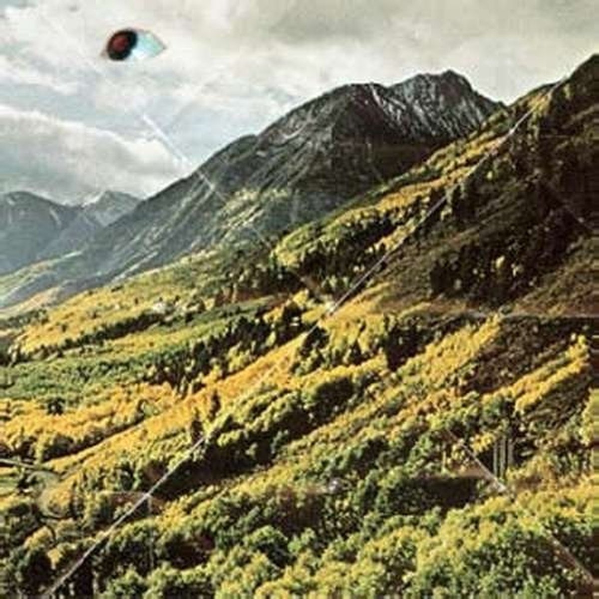 Woods - Songs Of Shame (CD)
