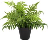Kunstplant | Varen in pot | 35 cm | Pot 10 cm