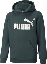 Puma Essential Trui - Unisex - groen - wit