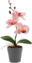 Ibergarden Kunstplant Orchidee 14 X 7 X 26 Cm Lichtroze/grijs