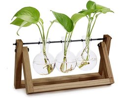 DWIH - Nordic style houten/glazen tripple vaas --- Geschikt voor stekjes, bloemen, waterplanten (Hydroponie)