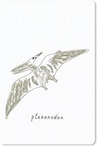 Muismat - Mousepad - Kinderkamer- Pteranodon - Groen - Jongens - Meisjes - Kinderen - 18x27 cm - Muismatten
