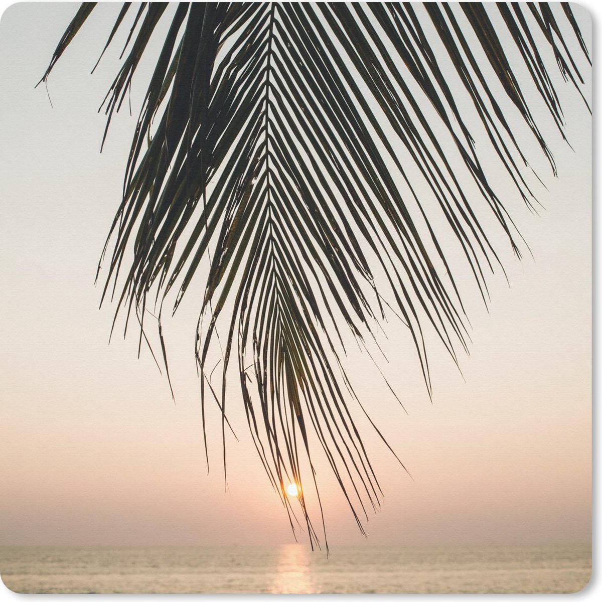Muismat 30x30 cm - Mousepad Zon - Palmboom - Blad - Muismatten