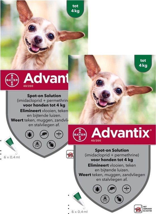 Haalbaarheid januari Ellende Bayer Advantix Vlooien & Teken Pipetten - Hond tot 4kg - 2 x 6 stuks |  bol.com