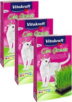 Vitakraft Cat Gras - Kattensnack - Natuur - 3 x 120 g