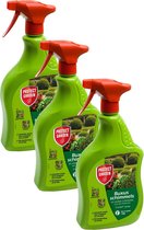 Protect Garden Curalia Spray Buxus Schimmels - Gewasbescherming - 3 x 1000 ml
