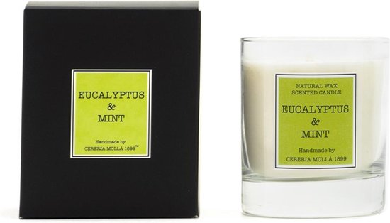 Cereria Mollà 1899 Geurkaars Eucalyptus & Mint 230g 50 branduren scented candle fris geur kaars heerlijk munt