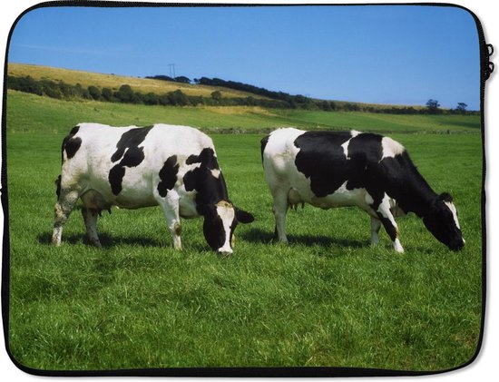 Vaches noires et blanches paissant dans une prairie verte sous un ciel bleu.