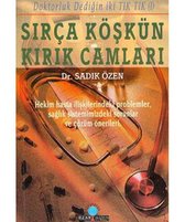 Sırça Köşkün Kırık Camları