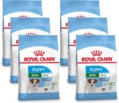 Royal Canin Shn Mini Puppy - Hondenvoer - 6 x 2 kg