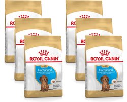 Royal Canin Dachshund - Puppy-Hondenvoer - 6 x 1.5 kg
