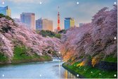 Kersenbloesem in bloei in Chidorigafuchi Park in Tokio - Foto op Tuinposter - 120 x 80 cm