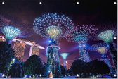 Supertree Grove in Singapore in neon verlichting - Foto op Tuinposter - 225 x 150 cm