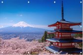Chureito Pagoda en kersenbloesem in bloei bij Mount Fuji - Foto op Tuinposter - 150 x 100 cm