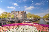 Een kleurrijke lente met tulpenbloemen in Amsterdam - Foto op Tuinposter - 225 x 150 cm