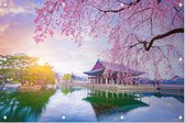 Kersenbloesem bij het paleis van Gyeongbokgung in Seoul - Foto op Tuinposter - 90 x 60 cm