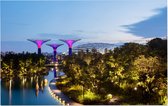 Supertree Grove in Gardens by the Bay in Singapore - Foto op Forex - 120 x 80 cm