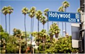 Palmbomen op Hollywood Boulevard in Los Angeles - Foto op Forex - 90 x 60 cm
