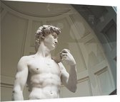 De David van Michelangelo Buonarotti in Florence - Foto op Plexiglas - 80 x 60 cm