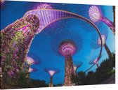 Neon verlichte tuinstad Gardens by the Bay in Singapore - Foto op Canvas - 90 x 60 cm
