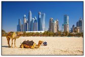 Kamelen op Jumeirah strand voor de skyline van Dubai - Foto op Akoestisch paneel - 90 x 60 cm
