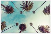 De palmbomen op Hollywood Boulevard in Los Angeles - Foto op Akoestisch paneel - 150 x 100 cm