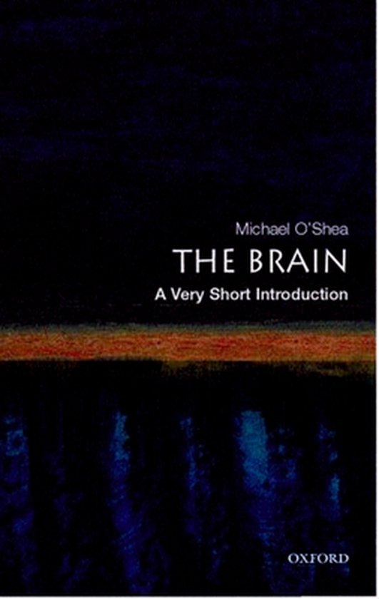 Brain Very Short Introduction - cover