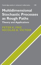 Multidimensional Stochastic Processes As Rough Paths