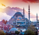 Stadsgezicht van Istanbul met de Süleymaniye Moskee - Fotobehang (in banen) - 450 x 260 cm