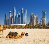 Chameaux sur la plage de Jumeirah devant la ligne d'horizon de Dubaï, - Papier peint photo (en couloirs) - 250 x 260 cm