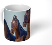 Mok - Paarden - Halster - Bruin - 350 ML - Beker