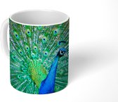 Mok - Pauw met blauwgroene veren - 350 ML - Beker