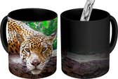Magische Mok - Foto op Warmte Mok - Jaguar rust uit - 350 ML
