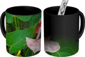 Magische Mok - Foto op Warmte Mok - Anthurium met roze bloemen in een pot - 350 ML