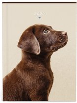 My favourite friends hond zakagenda 2022 - A6 formaat zakagenda - binnenzijde 7 dagen 2 pagina planner - (11x15cm) met hond, bruin design