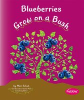 How Fruits and Vegetables Grow - Blueberries Grow on a Bush