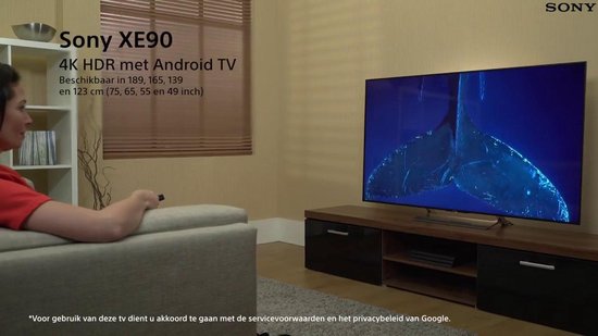 KD49XE7005BAEP TV LED 4K UHD 123 cm HDR Smart TV